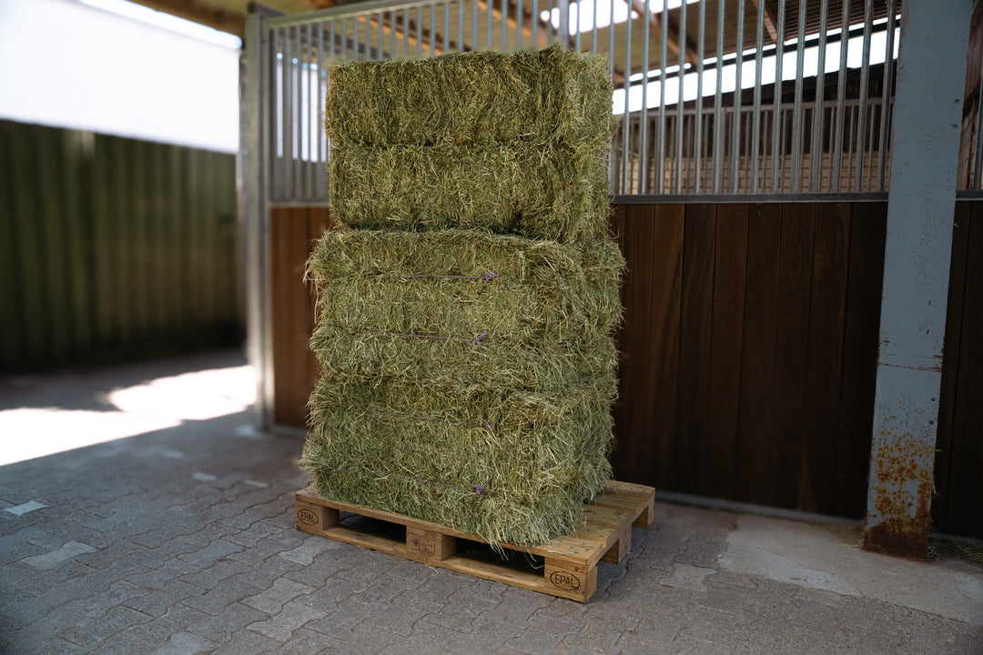 Equibreeze Premium Plus Heu Palette, 6 x 25 kg