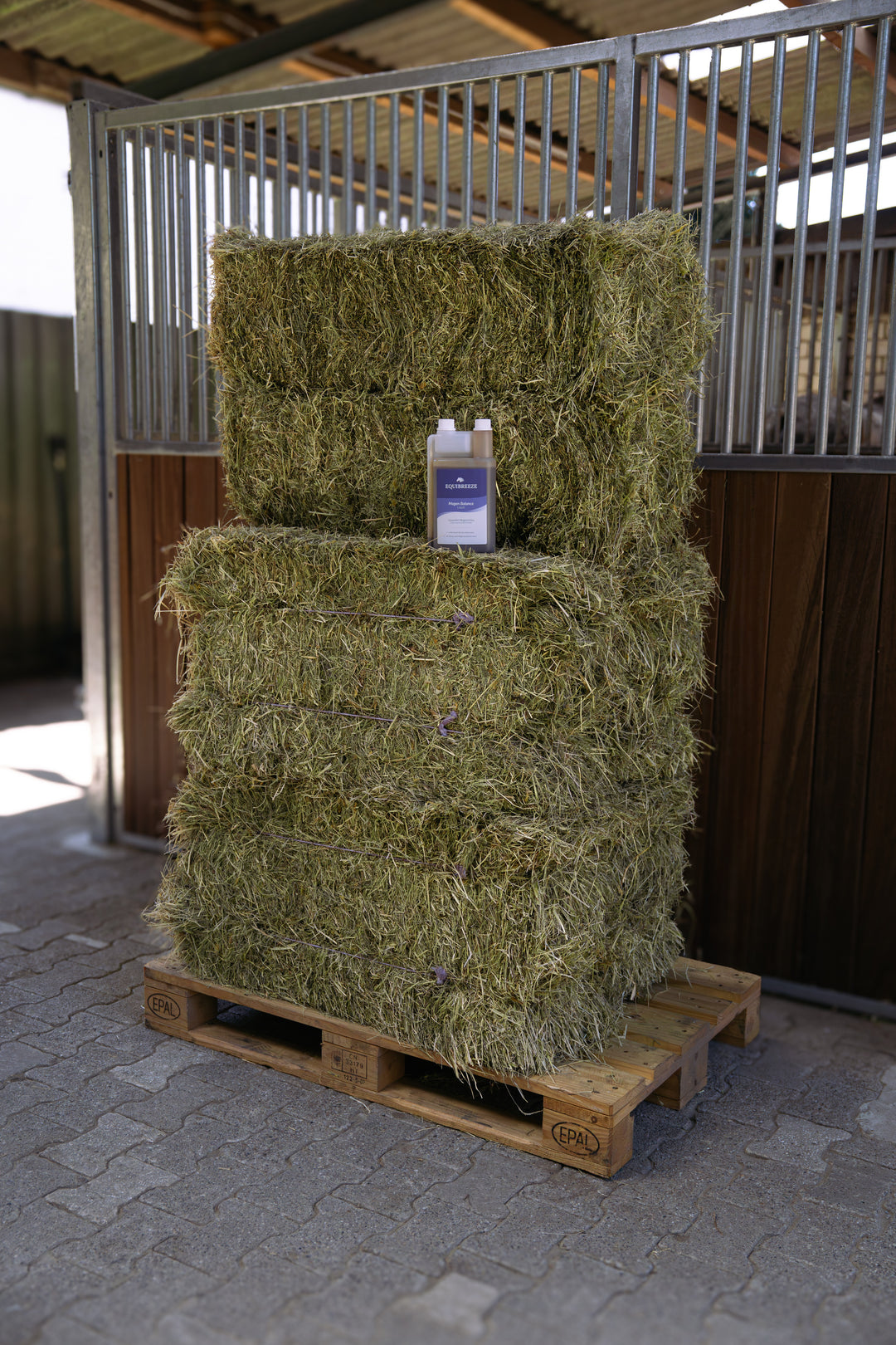 Equibreeze Kurpaket Heu + 1 x Magen Balance Liquid GRATIS