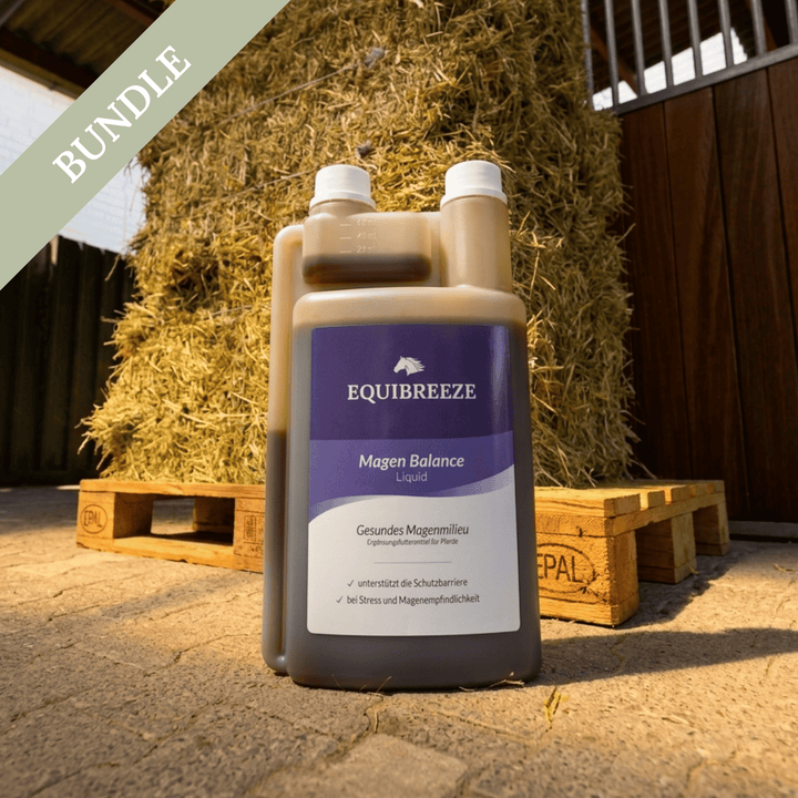 Equibreeze Kurpaket Heu + 1 x Magen Balance Liquid GRATIS
