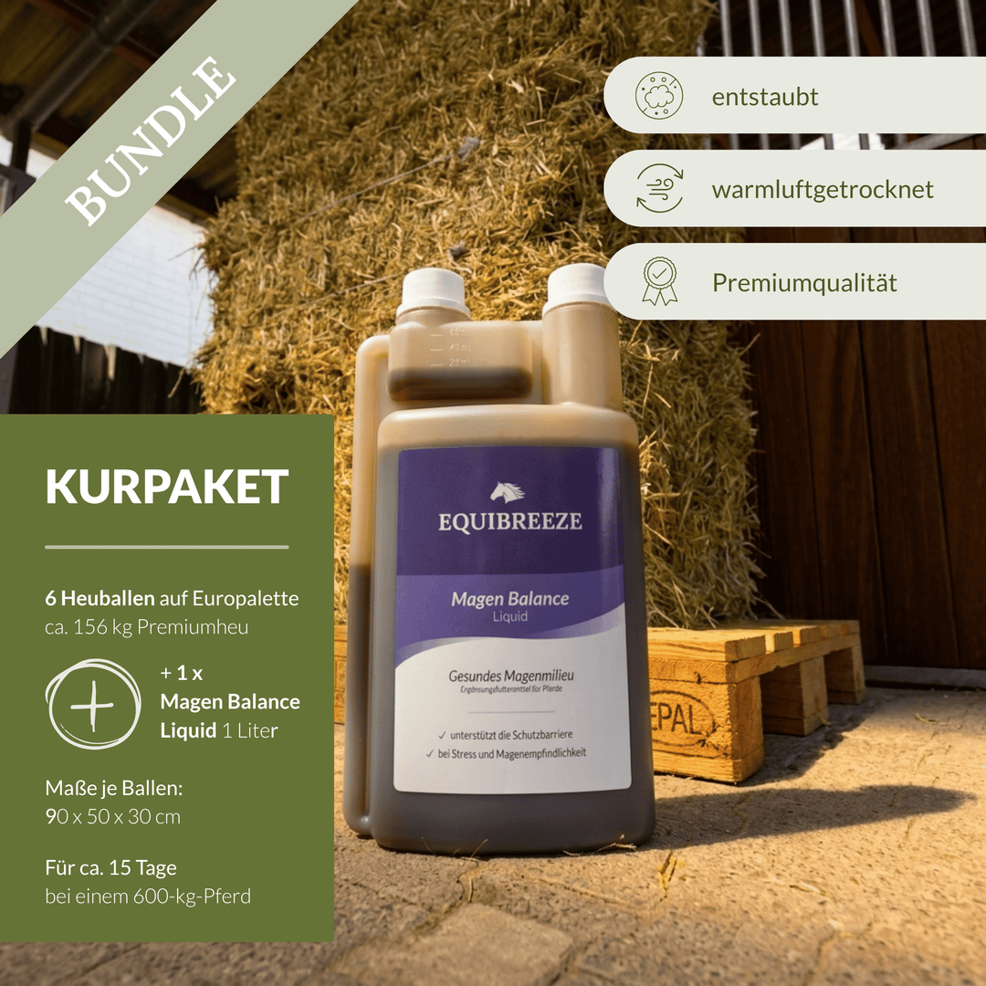 Equibreeze Kurpaket Heu + 1 x Magen Balance Liquid GRATIS