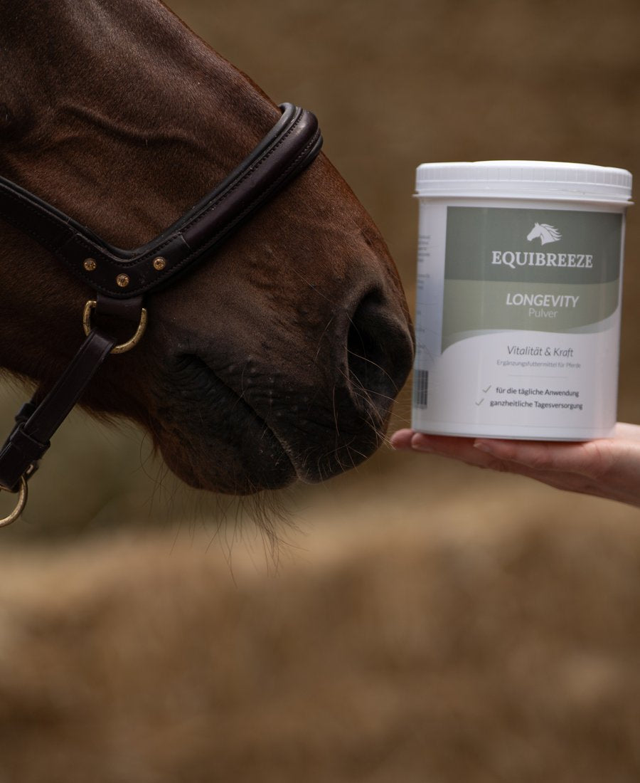Equibreeze Longevity Pulver, 600 g
