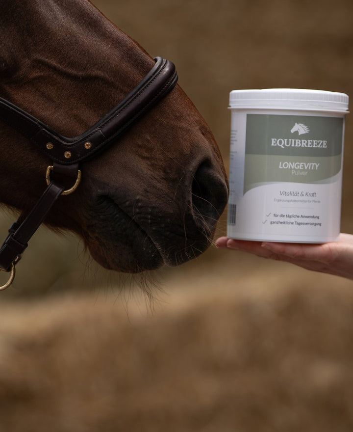 Equibreeze Longevity Pulver, 600 g