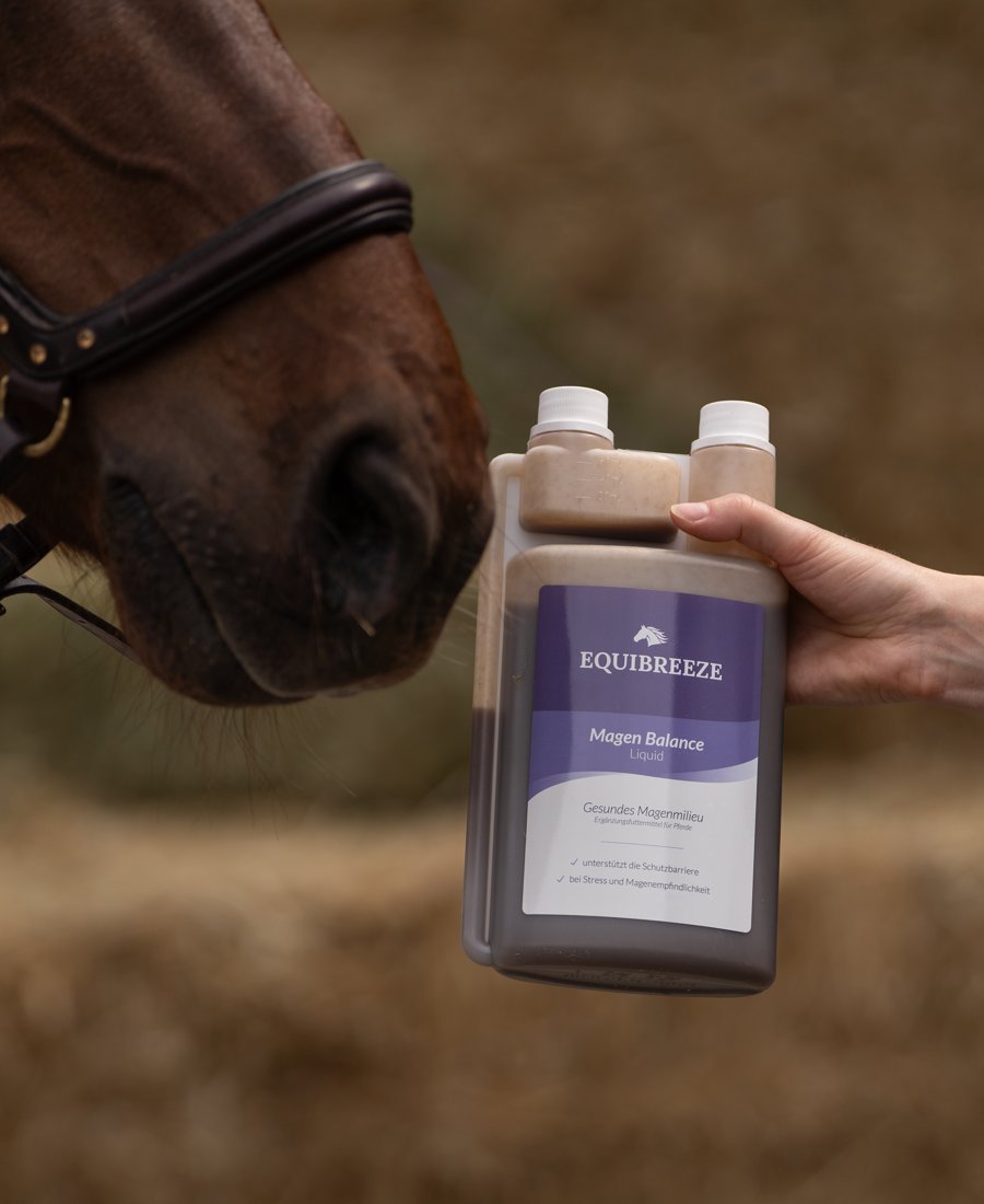 Equibreeze Magen Balance Liquid, 1 L